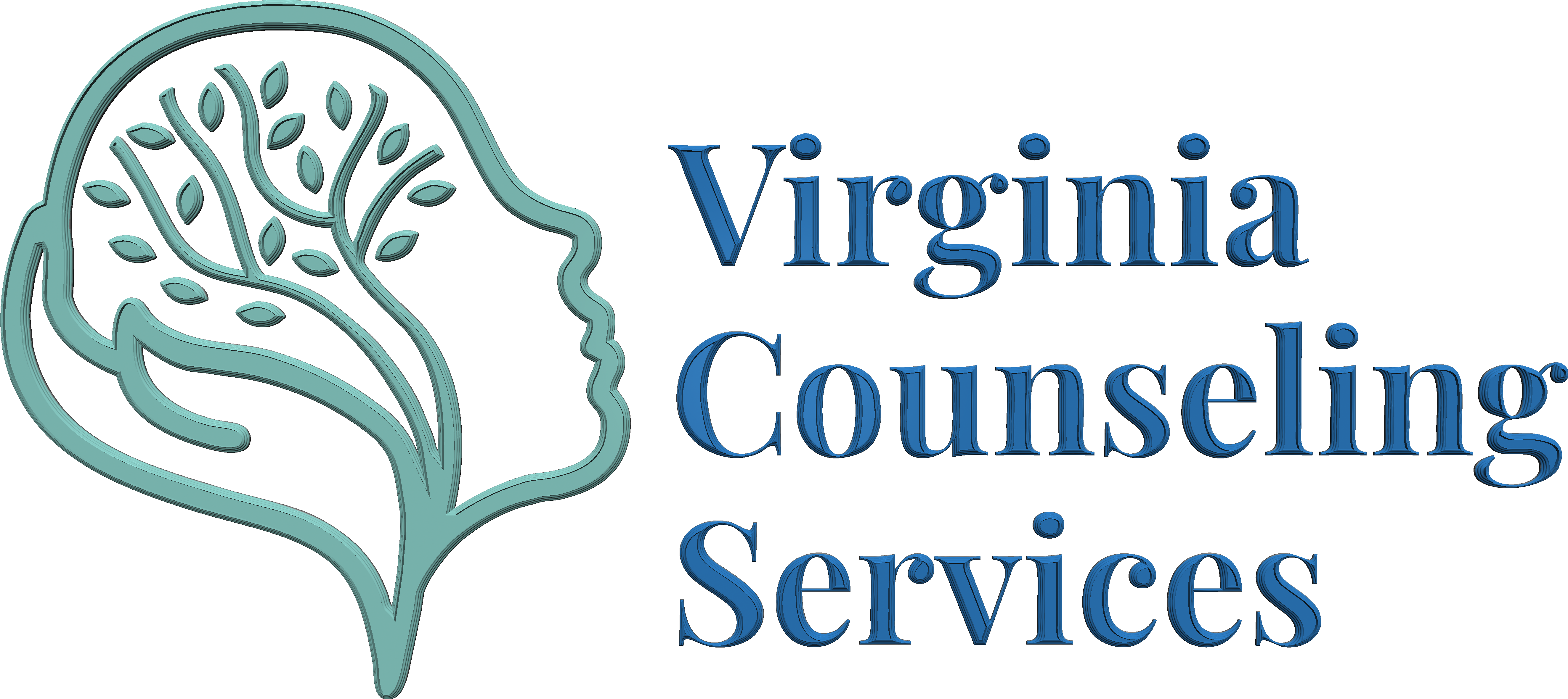 Virginia Counseling Services logo